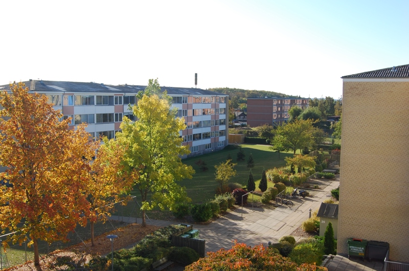 Almennyttige boliger Kommune