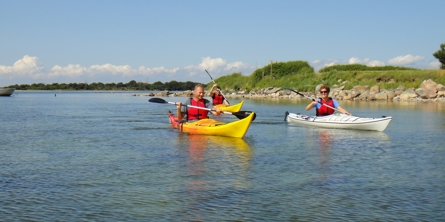 Kajak på Guldborgsund