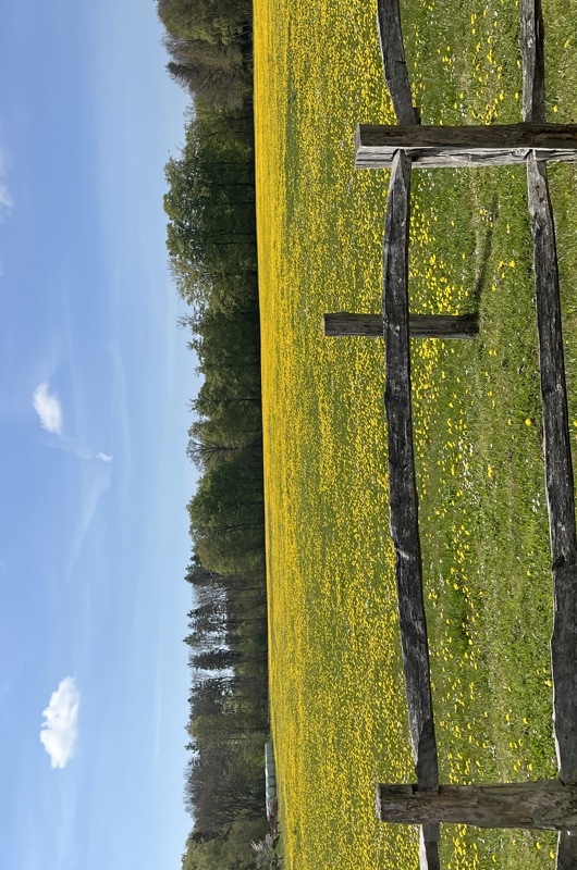 En mark i Landdistriktet på Falster