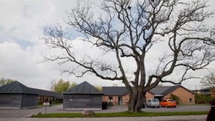 Billede af Parkvej 35